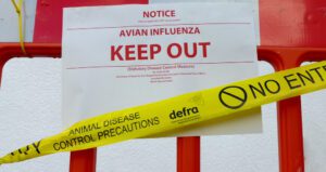 Bird flu hits poultry farm near Soham
