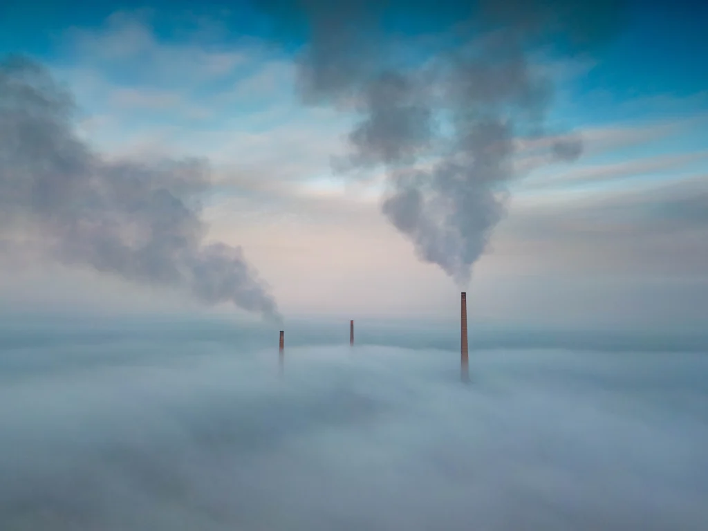 GALLERY: Stunning glimpses from a Fenland morning