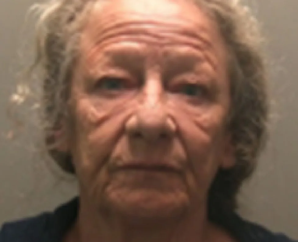 Diane Riley previously admitted charges of conspiracy to pervert the course of justice, they are due to be sentenced on a date which is yet to be set.