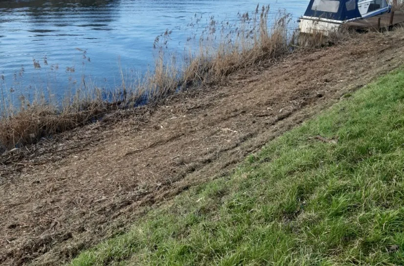 The Environment Agency are clearing riverside scrub including thick bramble bushes along a two-mile length of river between Queen Adelaide and Littleport. PHOTO: David Jermy