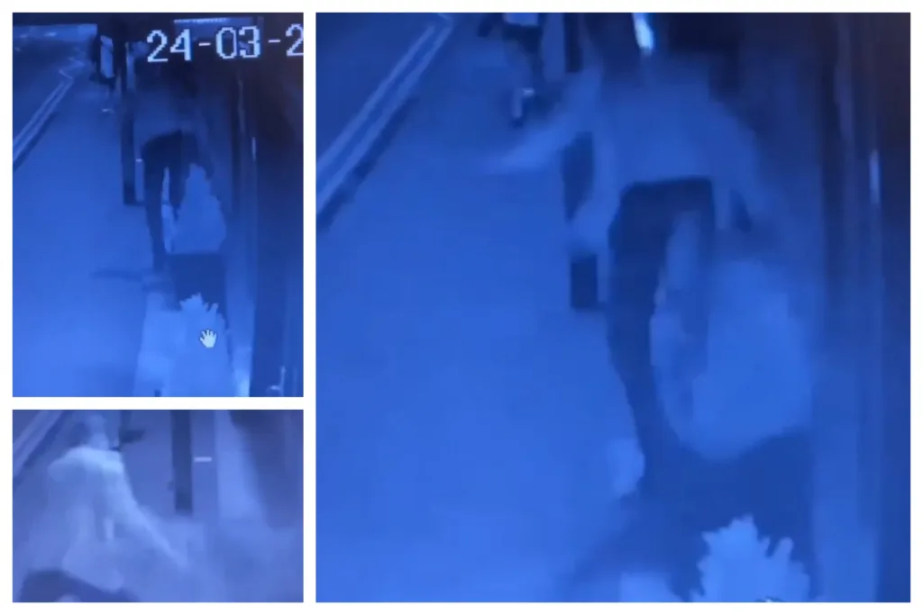 WATCH: Late night vandalism in Whittlesey caught on CCTV