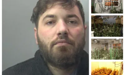 A review of the phone of Genc Giergie found photos of cannabis plants, including “selfies” with the yields and photographs of documents relating to properties in Bretton and Yaxley.