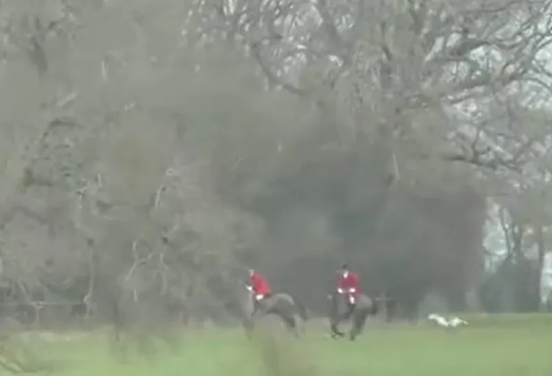 Parrish was caught on camera on 5 March last year hunting on horseback with dogs in Sutton Wood near to Upton, Peterborough.