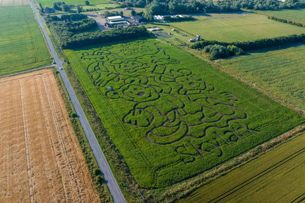 Cambridgeshire maize maze will celebrate 100 years of Disney