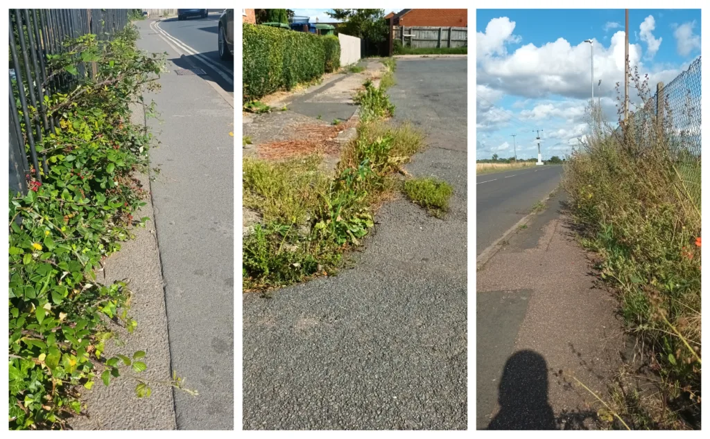 Outraged Tories urge Cambridgeshire County Council to end weedkiller ban