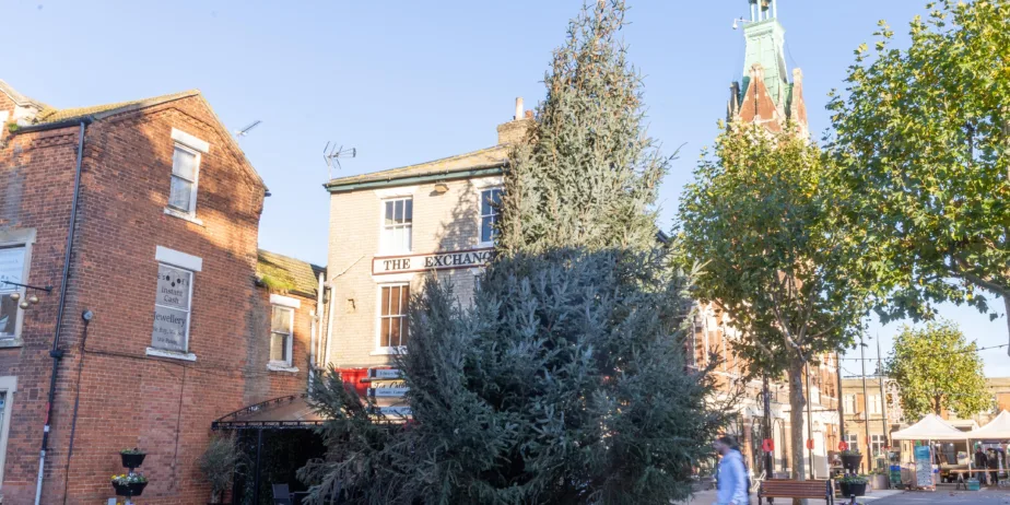 News for Peterborough and Cambridgeshire - Christmas Tree, Town Centre, March Saturday 11 November 2023. Picture by Terry Harris.