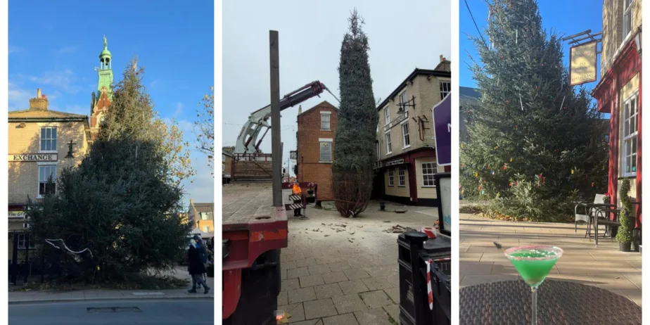 News for Peterborough and Cambridgeshire - From left: Christmas tree in March yesterday, centre: Tree being delivered and right: special wonky tree cocktail from the Exchange