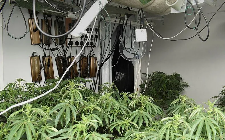On 14 November, the Neighbourhood Support Team (NST) executed a warrant at the house after it was suspected it was being used to grow cannabis.
