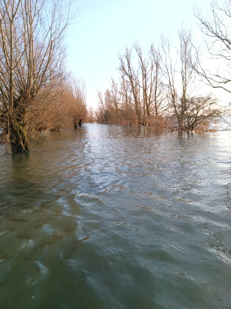 Welney Wash road flooded: Photo, courtesy of Welney Flood Watch, taken on February 11