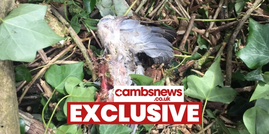 The site off Gunthorpe Road where workmen have begun clearing the site and caused an uproar among local residents. Residents have taken photos of the area being cleared and contacted councillors for an explanation.