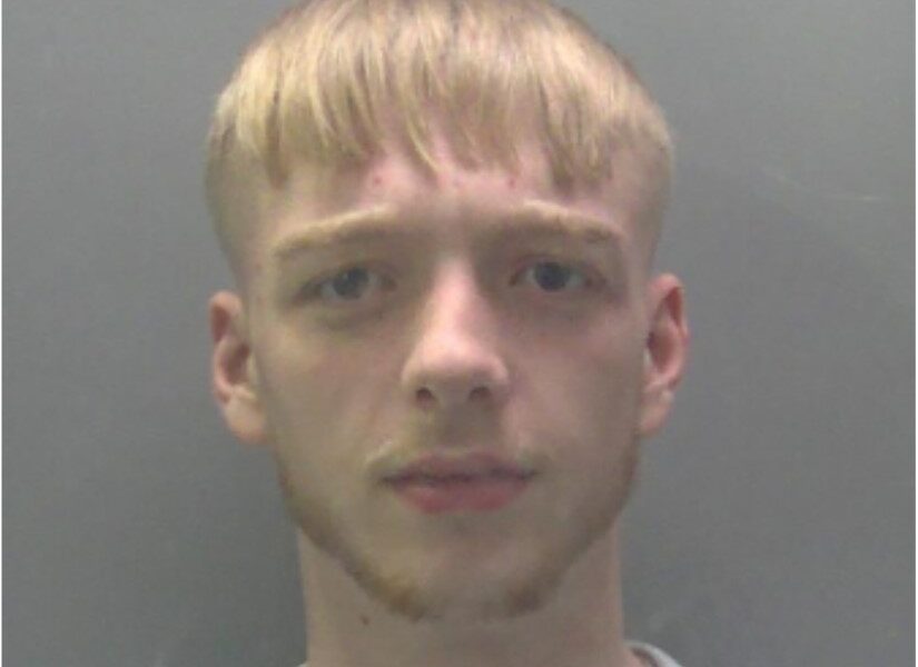 Bailey Winkle went on a three-month crime spree, carrying out burglaries and stealing cars just after his eighteenth birthday in October last year.