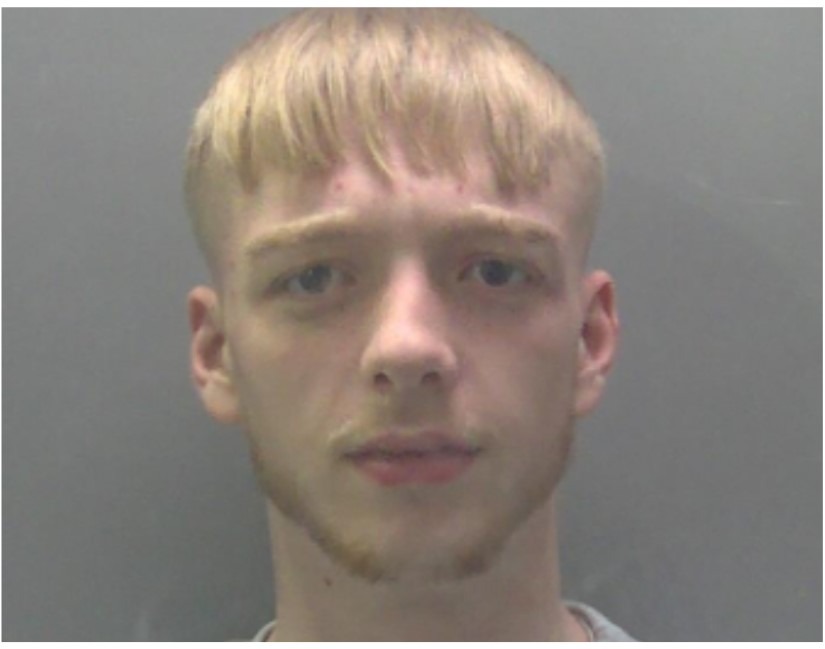 Bailey Winkle went on a three-month crime spree, carrying out burglaries and stealing cars just after his eighteenth birthday in October last year.
