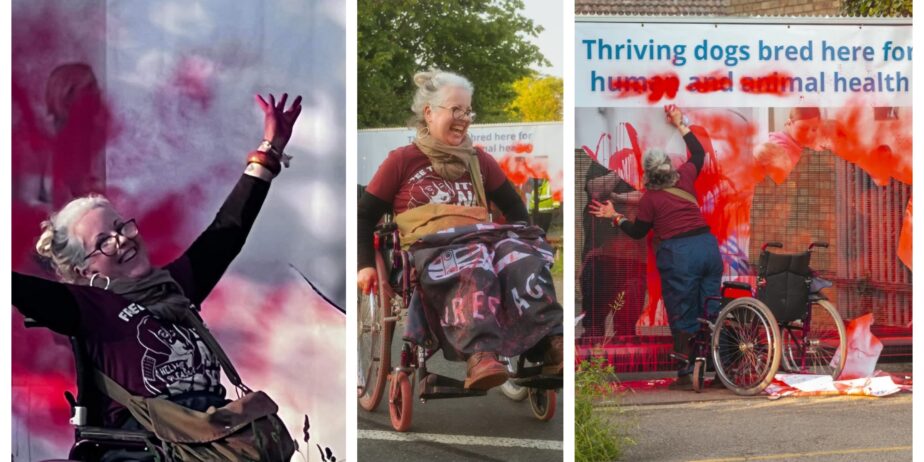 Tímea Kovács, a photographer working on a documentary photo project with Camp Beagle took these photos of Louise Ryan and her wheelchair protest.