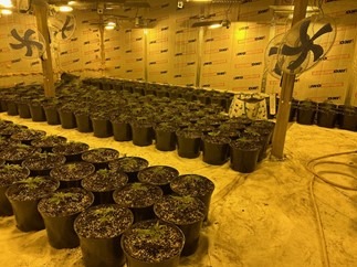 Police at the scene of a drugs raid at Harrier Way, Eagle Business Park, Yaxley. More than 2,000 cannabis plants, with an estimated street value of £1m, were discovered 