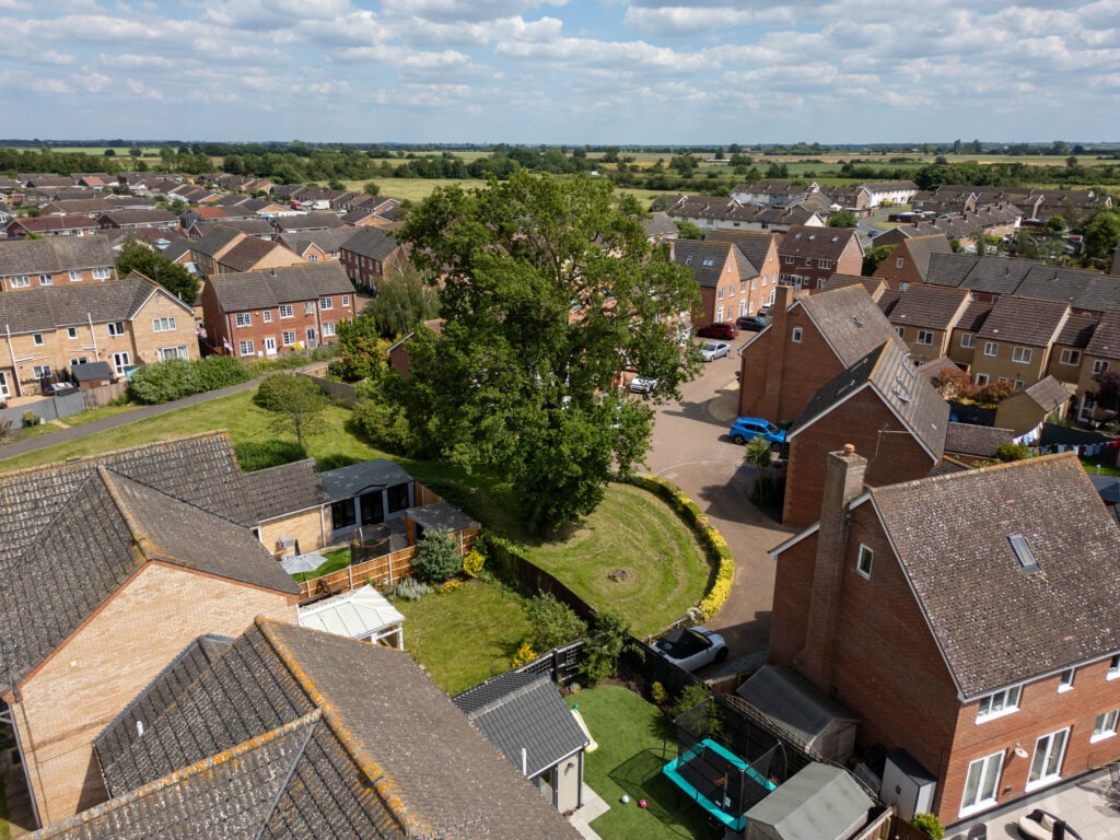 Residents and even the town council want Fenland District Council to refuse its own application to fell a 50- to 60-year-old protected oak tree off Bridle Close, Chatteris. PHOTO: Terry Harris 