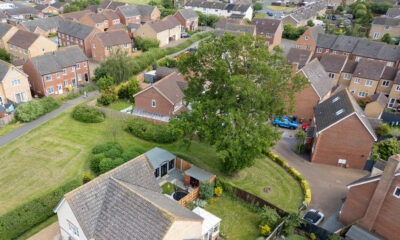 Residents and even the town council want Fenland District Council to refuse its own application to fell a 50- to 60-year-old protected oak tree off Bridle Close, Chatteris. PHOTO: Terry Harris