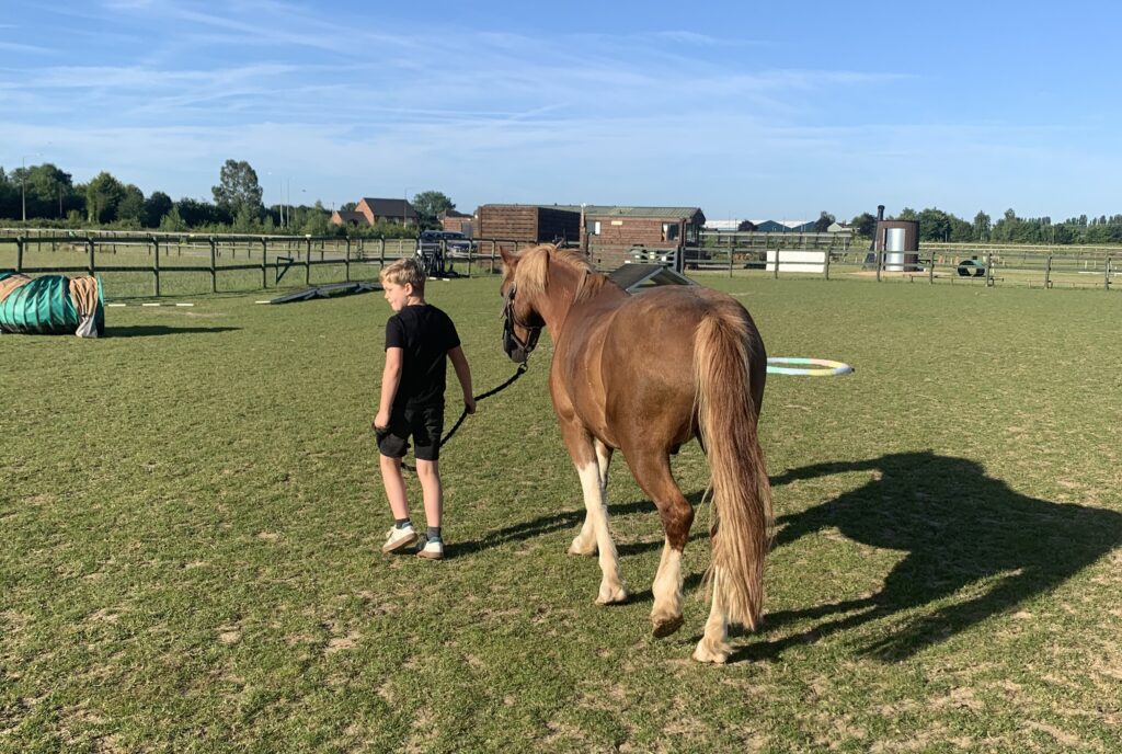 £8,000 boost provides free activities in Fenland over the summer