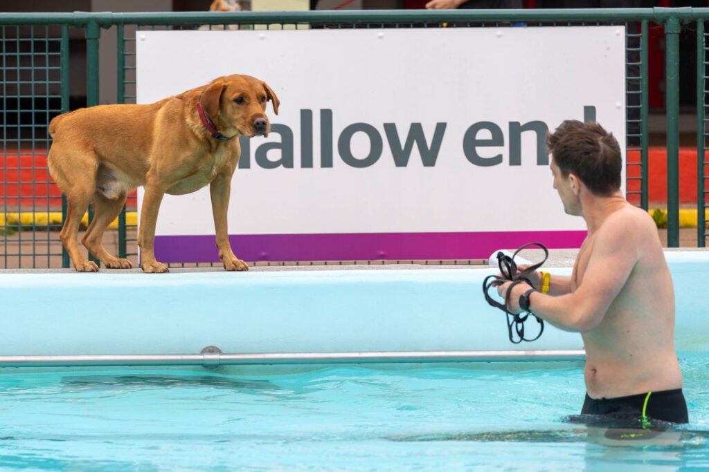 Peterborough Lido Dog Swim - Four legged friends invited to take a dip at the end of the Lido’s season in the pool. Sunday 29 September 2024. Picture by Terry Harris.