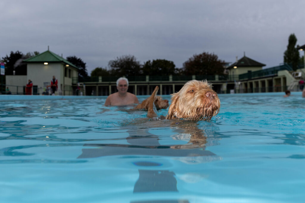 Peterborough Lido Dog Swim - Four legged friends invited to take a dip at the end of the Lido’s season in the pool. Sunday 29 September 2024. Picture by Terry Harris.