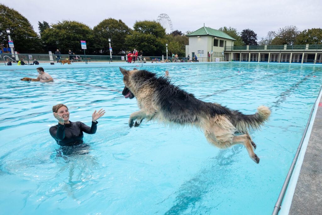 Peterborough Lido Dog Swim - Four legged friends invited to take a dip at the end of the Lido’s season in the pool. Sunday 29 September 2024. Picture by Terry Harris.