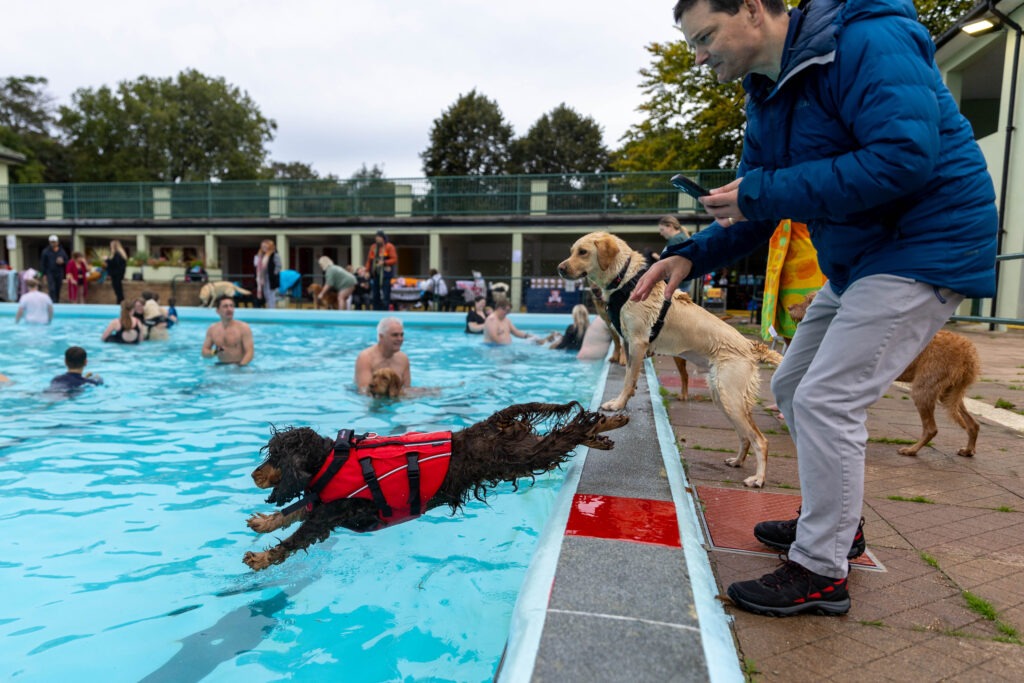 Peterborough Lido Dog Swim - Four legged friends invited to take a dip at the end of the Lido’s season in the pool. Sunday 29 September 2024. Picture by Terry Harris.