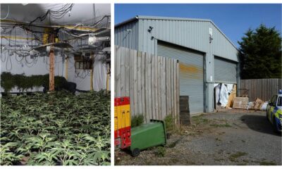 Police discovered the latest cannabis factory in Heath Road, Warboys, near Huntingdon, where around 2,600 plants were seized along with growing equipment across 11 rooms.