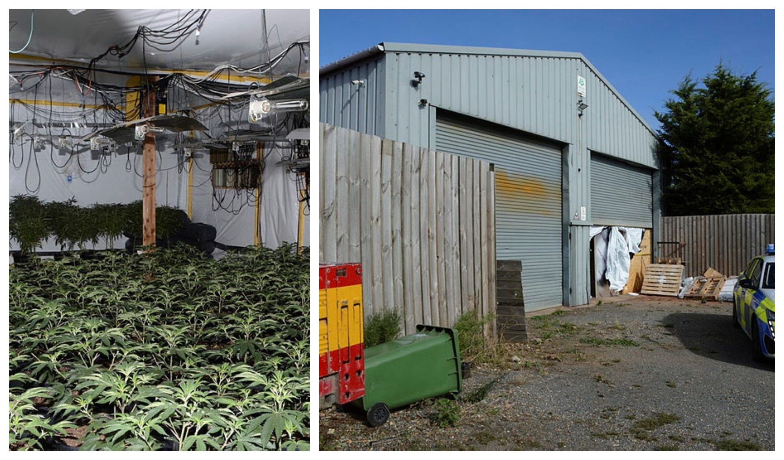 Police discovered the latest cannabis factory in Heath Road, Warboys, near Huntingdon, where around 2,600 plants were seized along with growing equipment across 11 rooms.