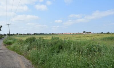 Looking south west across the application site with the drainage ditch along the northern boundary visible where the crop colour changes