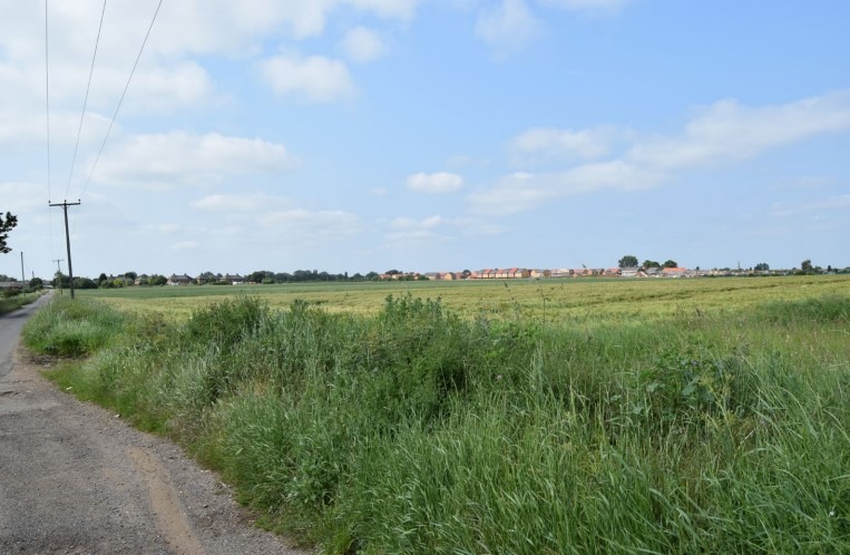 Looking south west across the application site with the drainage ditch along the northern boundary visible where the crop colour changes