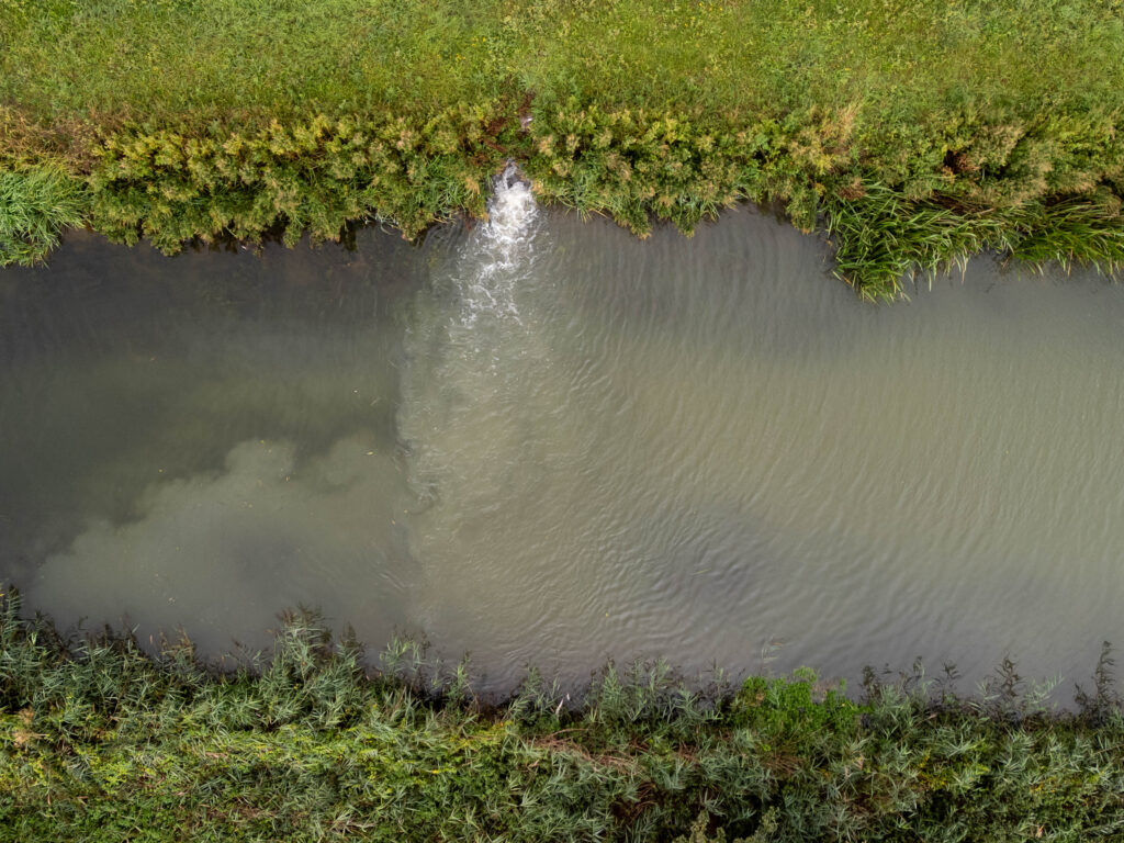 Anglian Water and the Environment Agency are jointly probing the deaths of 900 fish in the waterways around King’s Dyke, Stanground PHOTO: Terry Harris