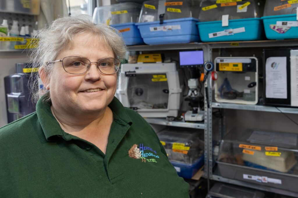 Heather Johnson, 49, runs a hedgehog hostel from her home in Chatteris, Cambridgeshire, but says she urgently needs more space after being inundated with hedgehogs due to a bumper breeding season and unpredictable weather. PHOTO: Terry Harris