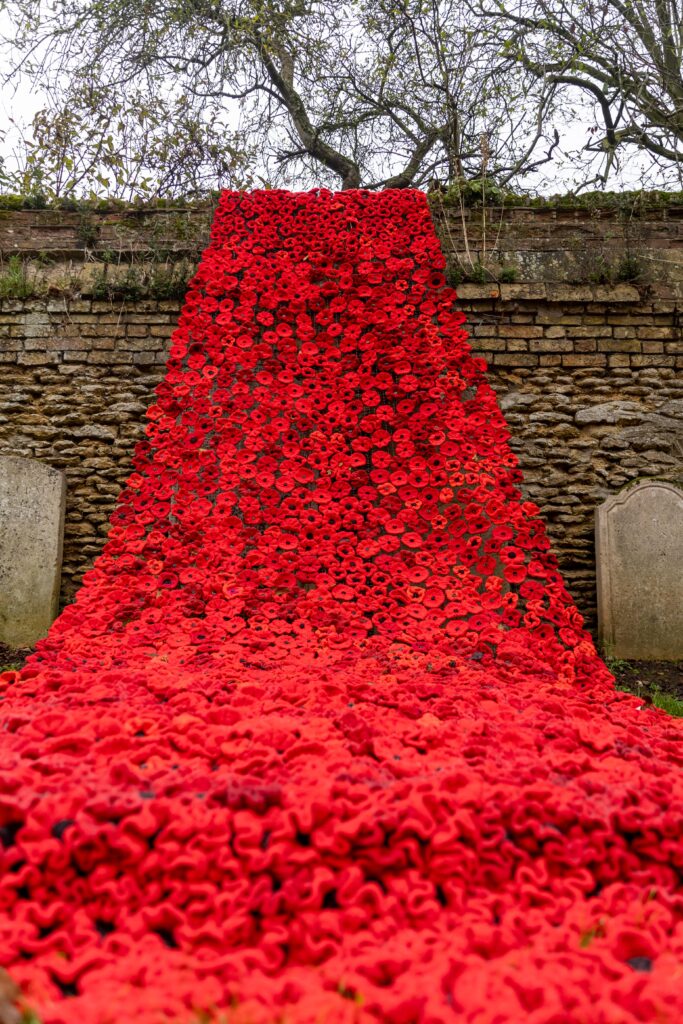 Whittlesey Knitted Memorial Garden,Whittlesey, Peterborough Thursday 07 November 2024. Picture by Terry Harris.