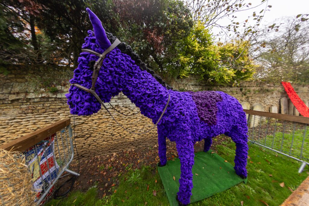 Whittlesey Knitted Memorial Garden,Whittlesey, Peterborough Thursday 07 November 2024. Picture by Terry Harris.