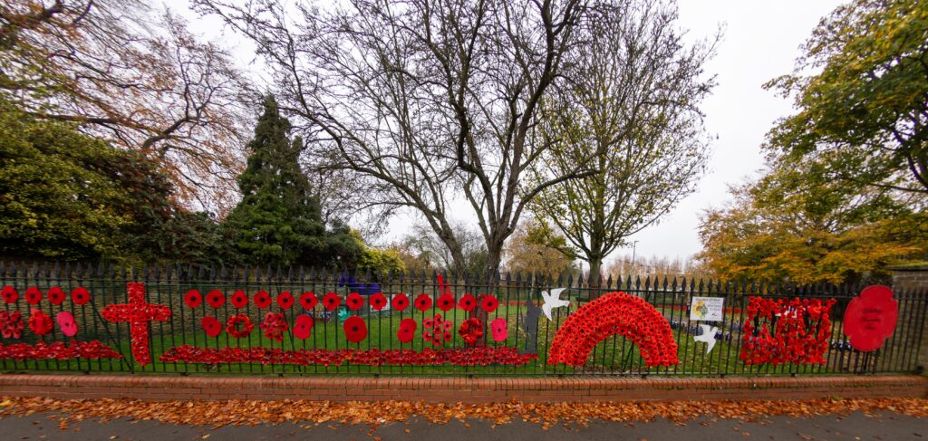 Whittlesey Knitted Memorial Garden,Whittlesey, Peterborough Thursday 07 November 2024. Picture by Terry Harris.