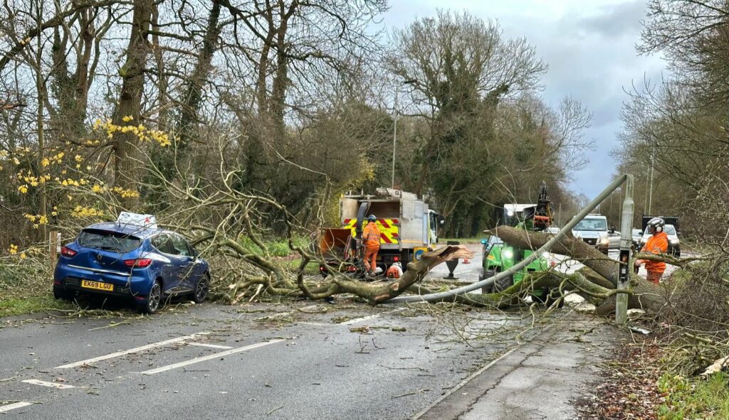 A fallen tree hit a car and damaged a lamp post at Bretton, Peterborough, today.