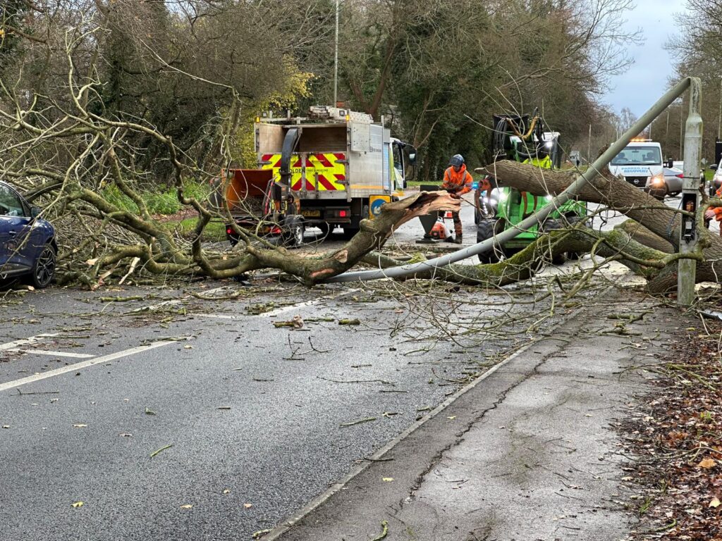 A fallen tree hit a car and damaged a lamp post at Bretton, Peterborough, today.