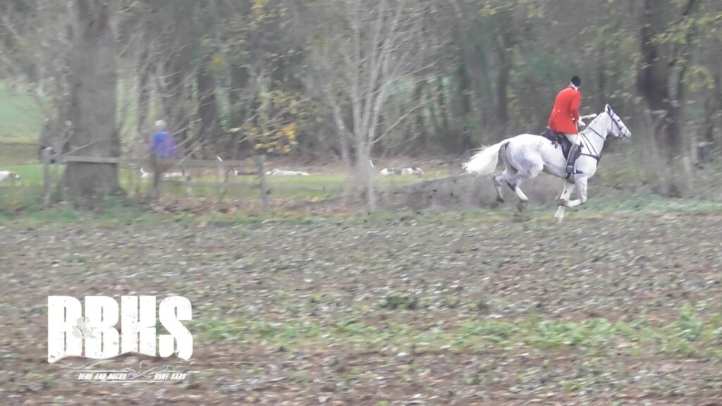 The Fitzwilliam Hunt at Milton near Peterborough on Saturday November 30. Photo credit: Beds and Bucks Hunt Sabs