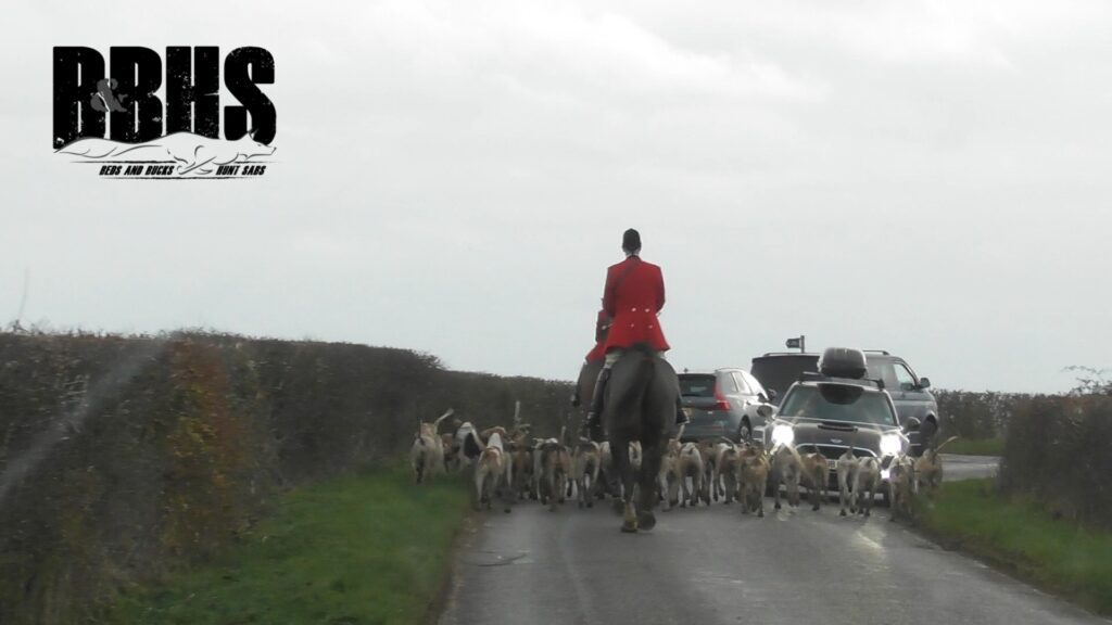 The Fitzwilliam Hunt at Milton near Peterborough on Saturday November 30. Photo credit: Beds and Bucks Hunt Sabs