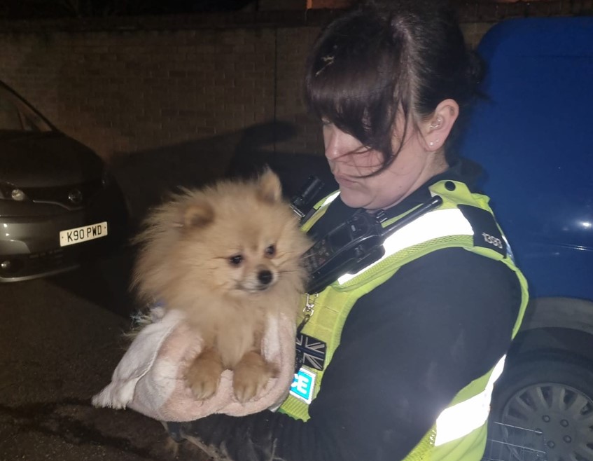 PC Kirsty Hulley, who investigated, said: 'This was a horrendous and shocking case of animal neglect and one I will never forget.' Pictured with one of the dogs she helped to rescue.