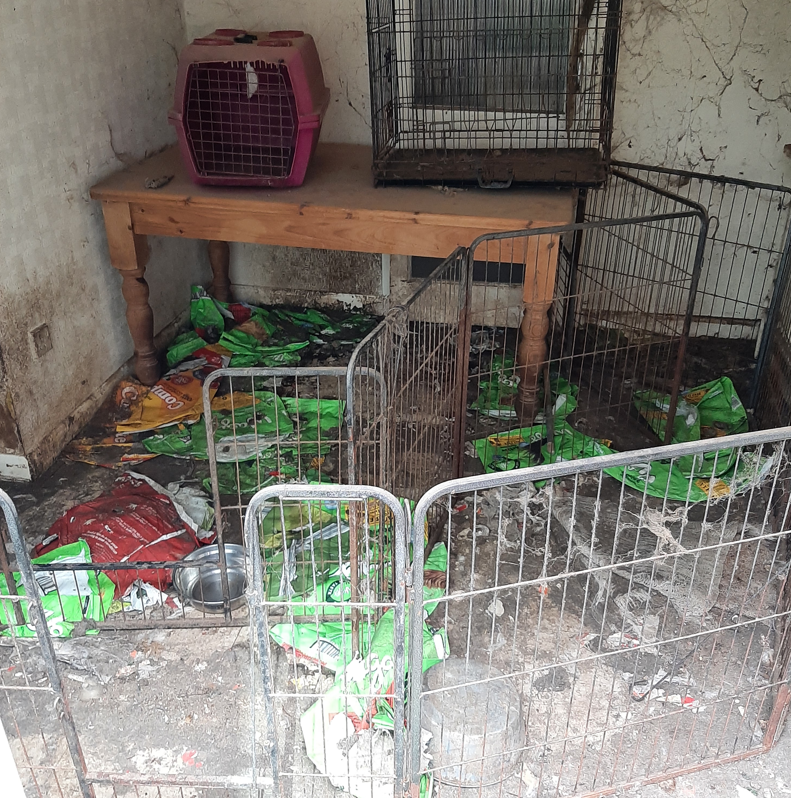 The horrific scene that confronted Cambridgeshire police officers at Guyhirn when they forced entry and found 18 dogs and three cats living in filthy conditions without access to food or water.