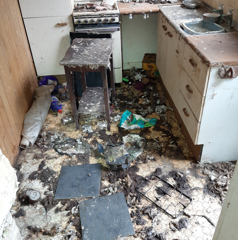 The horrific scene that confronted Cambridgeshire police officers at Guyhirn when they forced entry and found 18 dogs and three cats living in filthy conditions without access to food or water.