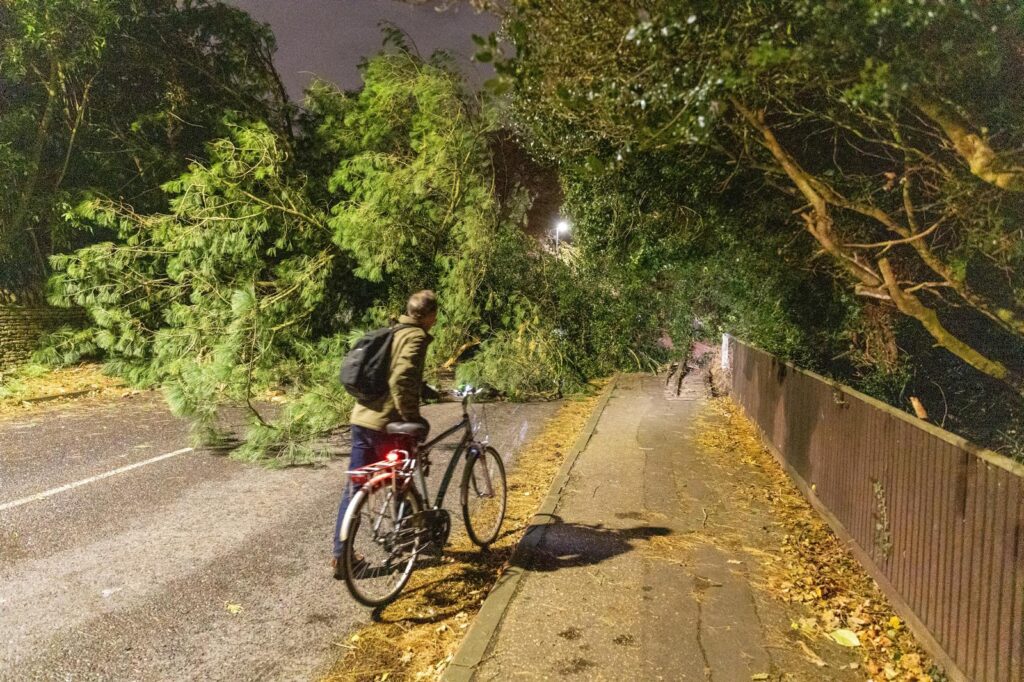 Scene on Thorpe Road Peterborough tonight – December 7 – after falling tree hits car PHOTO: Terry Harris 