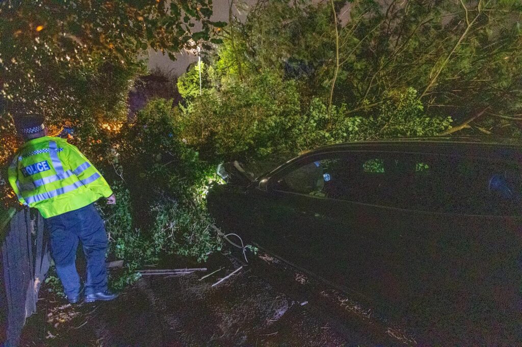 Scene on Thorpe Road Peterborough tonight – December 7 – after falling tree hits car PHOTO: Terry Harris 