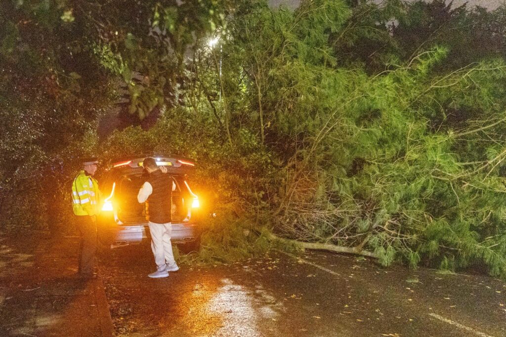 Scene on Thorpe Road Peterborough tonight – December 7 – after falling tree hits car PHOTO: Terry Harris 