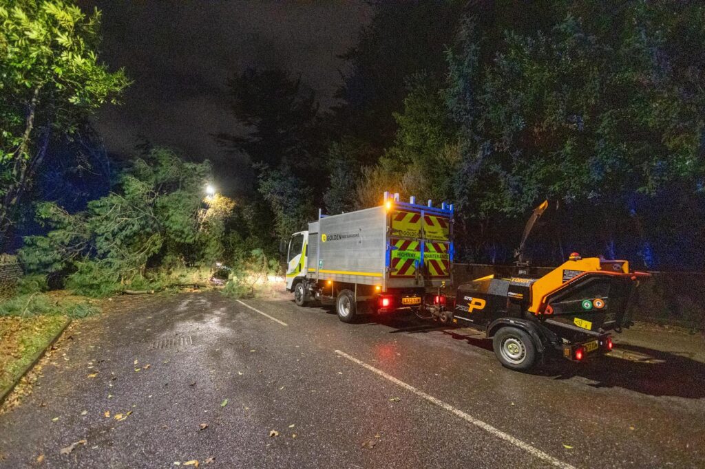 Scene on Thorpe Road Peterborough tonight – December 7 – after falling tree hits car PHOTO: Terry Harris 