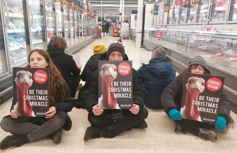 Animal Justice Project campaigners staged a protest at the millions of turkeys killed at Christmas by blocking a supermarket aisle in a Cambridge Tesco. Campaigners asked: “Will you be their Christmas Miracle?” Protest (Photo credits: Animal Justice Project.)