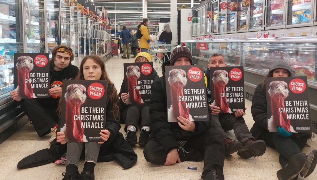 Animal Justice Project campaigners staged a protest at the millions of turkeys killed at Christmas by blocking a supermarket aisle in a Cambridge Tesco. Campaigners asked: “Will you be their Christmas Miracle?” Protest (Photo credits: Animal Justice Project.)