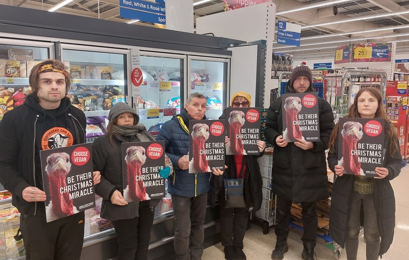 Animal Justice Project campaigners staged a protest at the millions of turkeys killed at Christmas by blocking a supermarket aisle in a Cambridge Tesco. Campaigners asked: “Will you be their Christmas Miracle?” Protest (Photo credits: Animal Justice Project.)