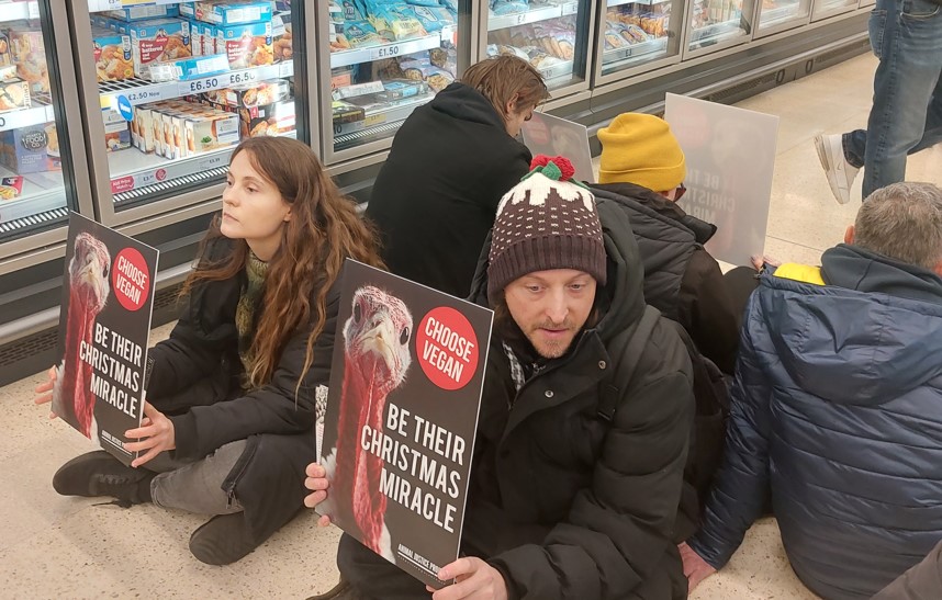 Animal Justice Project campaigners staged a protest at the millions of turkeys killed at Christmas by blocking a supermarket aisle in a Cambridge Tesco. Campaigners asked: “Will you be their Christmas Miracle?” Protest (Photo credits: Animal Justice Project.)