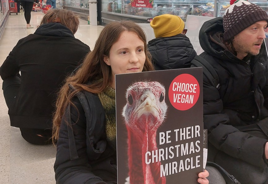 Animal Justice Project campaigners staged a protest at the millions of turkeys killed at Christmas by blocking a supermarket aisle in a Cambridge Tesco. Campaigners asked: “Will you be their Christmas Miracle?” Protest (Photo credits: Animal Justice Project.)